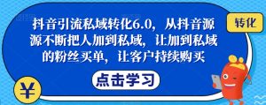 抖音引流私域转化6.0，从抖音源源不断把人加到私域，让加到私域的粉丝买单，让客户持续购买-林文副业站