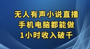 抖音无人有声小说直播，手机电脑都能做，1小时收入破千【揭秘】-林文副业站