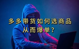 多多视频带货选什么商品链接才能爆单，10分钟教会你，爆单不是浮云【揭秘】-林文副业站