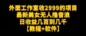 外面工作室收2999的项目最新美女无人撸音浪日收益几百到几千【教程+软件】（仅揭秘）-林文副业站