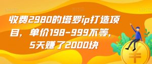 收费2980的塔罗ip打造项目，单价198-999不等，5天赚了2000块【揭秘】-林文副业站