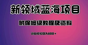 虚拟资源蓝海领域新项目，轻松日入800＋，附保姆级教程及资料-林文副业站