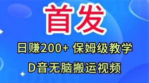 首发，抖音无脑搬运视频，日赚200+保姆级教学【揭秘】-林文副业站
