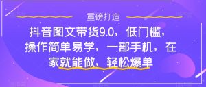 抖音图文带货9.0,低门槛,操作简单易学,一部手机,在家就能做,轻松爆单-林文副业站