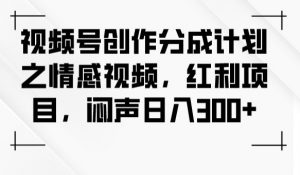 视频号创作分成计划之情感视频，红利项目，闷声日入300+-林文副业站