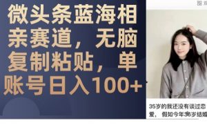 微头条蓝海相亲赛道，无脑复制粘贴，单账号日入100+-林文副业站