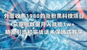 外面收费1980的涨粉黑科技项目，只靠做数据月入就能1w+【揭秘】-林文副业站