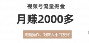 视频号流量掘金，无脑操作，对新人小白友好，月赚2000多【揭秘】-林文副业站