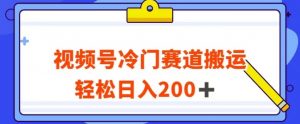 视频号最新冷门赛道搬运玩法，轻松日入200+【揭秘】-林文副业站