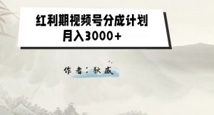 外面收费1980的红利期视频号分成计划2.0版本教学【揭秘】-林文副业站