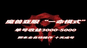 魔兽亚服一命模式，10天成号-单号3千-5千，脚本全自动操作，保姆级教学【揭秘】-林文副业站