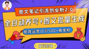 爱豆新媒：全自动养号+图文批量生成，日引500+创业粉（抖音小红书图文笔记2.0）-林文副业站