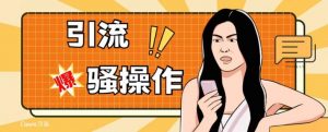 最新引流骚操作，单账号日引50-100，简单粗暴，适合于小白各行各业都可以进行操作，精准粉丝加到爆-林文副业站