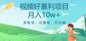 视频号暴利项目，多账号，可复制，红利期，月入10w+【揭秘】-林文副业站