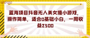 蓝海项目抖音无人美女播小游戏，操作简单，适合0基础小白，一周收益2500【揭秘】-林文副业站