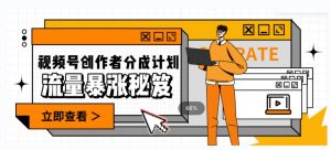 一条视频收益3000+，一条作品涨粉2000+，视频号流量爆炸·的秘籍-林文副业站