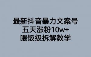 最新抖音暴力文案号，五天涨粉10w+，喂饭级拆解教学-林文副业站