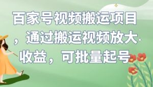 百家号视频搬运项目，通过搬运视频放大收益，可批量起号【揭秘】-林文副业站