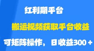 搬运视频获取平台收益，平台红利期，附保姆级教程【揭秘】-林文副业站