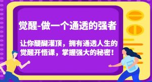 觉醒-做一个通透的强者,让你醍醐灌顶,拥有通透人生的觉醒开悟课,掌握强大的秘密!-林文副业站