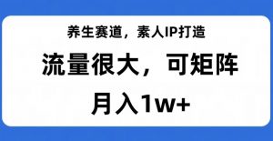 养生赛道,素人IP打造,流量很大,可矩阵,月入1w+【揭秘】-林文副业站