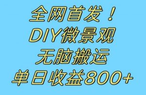 全网首发冷门赛道!DIY微景观,无脑搬运视频,日收益800+【揭秘】-林文副业站