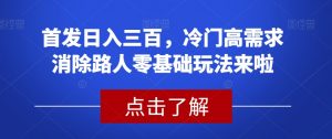 首发日入三百，冷门高需求消除路人零基础玩法来啦【揭秘】-林文副业站