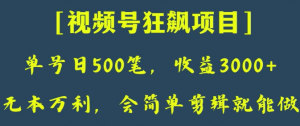 日收款500笔，纯利润3000+，视频号狂飙项目，会简单剪辑就能做【揭秘】-林文副业站