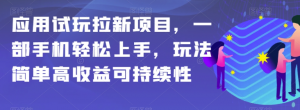 应用试玩拉新项目,一部手机轻松上手,玩法简单高收益可持续性【揭秘】-林文副业站