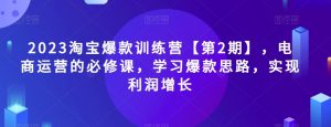 2023淘宝爆款训练营【第2期】，电商运营的必修课，学习爆款思路，实现利润增长-林文副业站