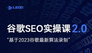 雷子·谷歌SEO 2.0实战课,独立站询盘自由必备,基于2023谷歌最新算法录制-林文副业站