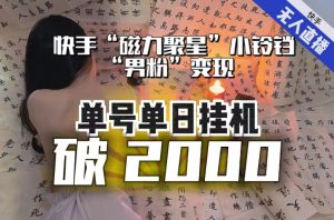 【日入破2000】快手无人直播不进人？“磁力聚星”没收益？不会卡屏、卡同城流量？最新课程会通通解决！-林文副业站