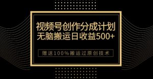 最新视频号创作分成计划,无脑搬运一天收益500+,100%搬运过原创技巧【揭秘】-林文副业站