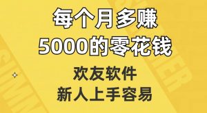 欢友软件，新人上手容易，每个月多赚5000的零花钱【揭秘】-林文副业站