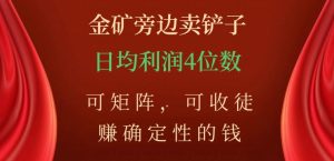 金矿旁边卖铲子，赚确定性的钱，可矩阵，可收徒，日均利润4位数【揭秘】-林文副业站
