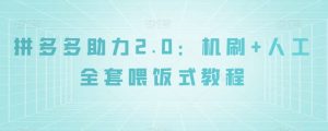 拼多多助力2.0：机刷+人工全套喂饭式教程【揭秘】-林文副业站