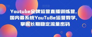 Youtube金牌运营直播训练营,国内最系统YouTuBe运营教学,掌握长期稳定流量密码-林文副业站