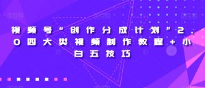 视频号“创作分成计划”2.0四大类视频制作教程+小白五技巧【揭秘】-林文副业站