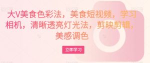大V美食色彩法，美食短视频，学习相机，清晰透亮灯光法，剪映剪辑，美感调色-林文副业站