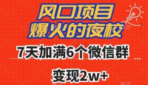 全网首发，爆火的夜校，7天加满6个微信群，变现2w+【揭秘】-林文副业站