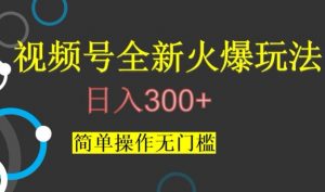 视频号最新爆火玩法，日入300+，简单操作无门槛【揭秘】-林文副业站