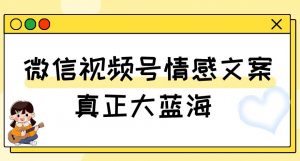 视频号情感文案，真正大蓝海，简单操作，新手小白轻松上手（教程+素材）【揭秘】-林文副业站