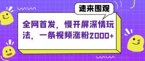 全网首发，慢开屏深情玩法，一条视频涨粉2000+【揭秘】-林文副业站