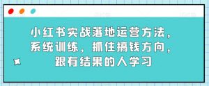 小红书实战落地运营方法，系统训练，抓住搞钱方向，跟有结果的人学习-林文副业站