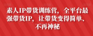素人IP带货训练营，全平台最强带货IP，让带货变得简单、不再神秘-林文副业站
