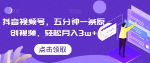 抖音视频号，五分钟一条原创视频，轻松月入3w+【独家秘诀，传授赚钱方法】【揭秘】-林文副业站
