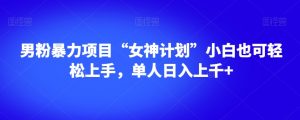 男粉暴力项目“女神计划”小白也可轻松上手，单人日入上千+【揭秘】-林文副业站