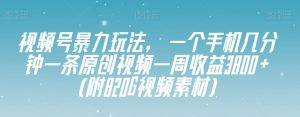 视频号暴力玩法，一个手机几分钟一条原创视频一周收益3800+（附820G视频素材）-林文副业站
