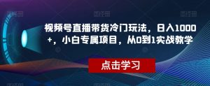 视频号直播带货冷门玩法，日入1000+，小白专属项目，从0到1实战教学【揭秘】-林文副业站
