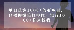 单日获客1000+的好项目，只要你微信扛得住，没有1000+你来找我【揭秘】-林文副业站
